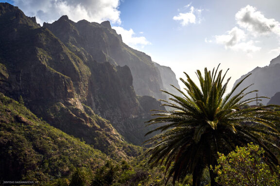 Tenerifė, Teidės ugnikalnis, Kelionė Fotografas: Dovydas Gaidamavičius © www.DovydasGaidamavicius.lt