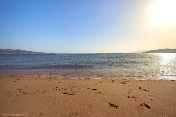 Israel, Eilat, Izraelis, Eilatas, Red canyon, Dykuma, Timna parkas Kelionė Fotografas: Dovydas Gaidamavičius © www.DovydasGaidamavicius.lt