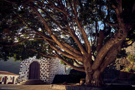 Tenerifė, Teidės ugnikalnis, Kelionė Fotografas: Dovydas Gaidamavičius © www.DovydasGaidamavicius.lt
