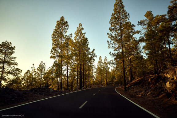 Tenerifė, Teidės ugnikalnis, Kelionė Fotografas: Dovydas Gaidamavičius © www.DovydasGaidamavicius.lt