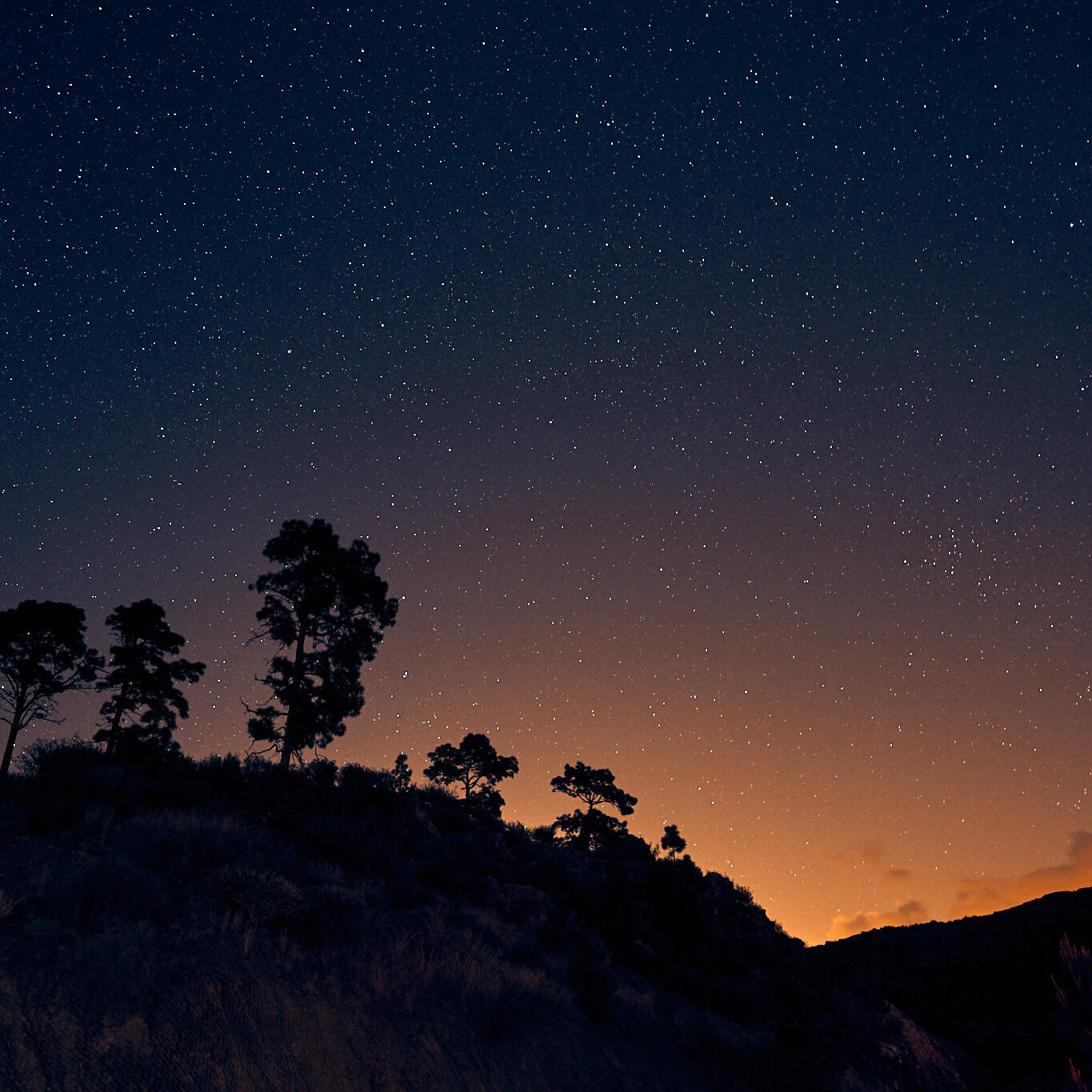 Gran Kanarija, Kelionė, Gran Canaria, Canary islands Fotografas: Dovydas Gaidamavičius © www.DovydasGaidamavicius.lt