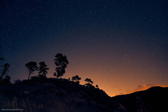 Gran Kanarija, Kelionė, Gran Canaria, Canary islands Fotografas: Dovydas Gaidamavičius © www.DovydasGaidamavicius.lt