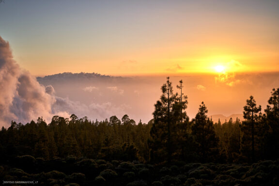 Tenerifė, Teidės ugnikalnis, Kelionė Fotografas: Dovydas Gaidamavičius © www.DovydasGaidamavicius.lt