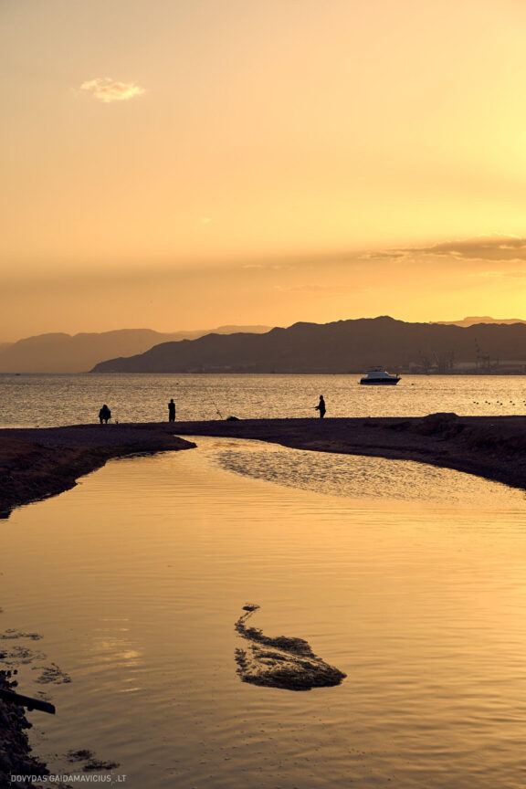 Israel, Eilat, Izraelis, Eilatas, Red canyon, Dykuma, Timna parkas Kelionė Fotografas: Dovydas Gaidamavičius © www.DovydasGaidamavicius.lt