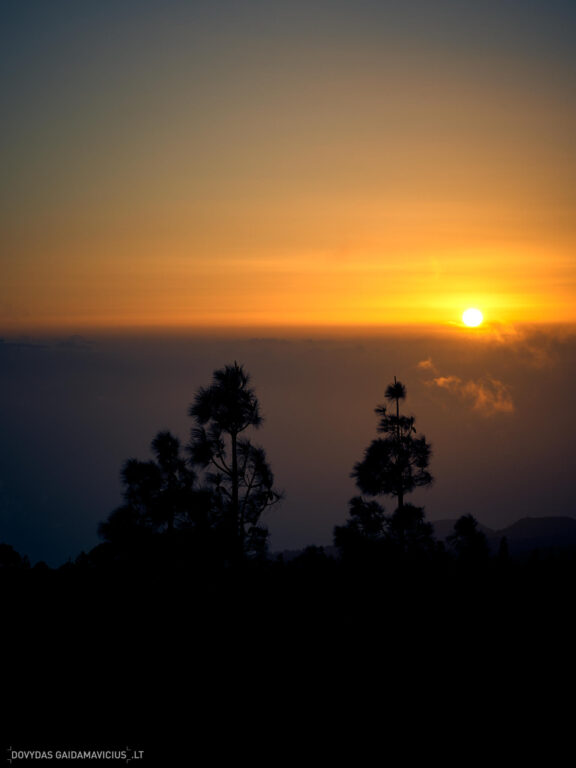 Tenerifė, Teidės ugnikalnis, Kelionė Fotografas: Dovydas Gaidamavičius © www.DovydasGaidamavicius.lt
