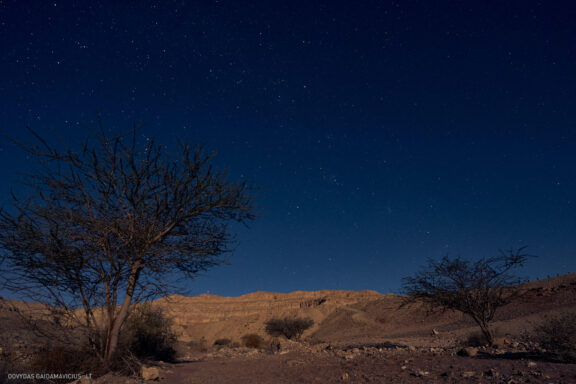 Israel, Eilat, Izraelis, Eilatas, Red canyon, Dykuma, Timna parkas Kelionė Fotografas: Dovydas Gaidamavičius © www.DovydasGaidamavicius.lt