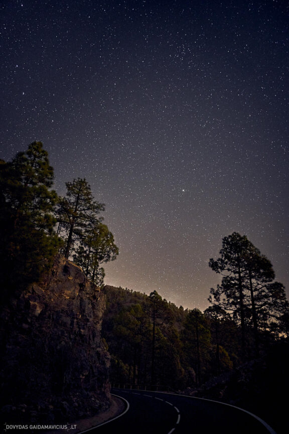 Tenerifė, Teidės ugnikalnis, Kelionė Fotografas: Dovydas Gaidamavičius © www.DovydasGaidamavicius.lt