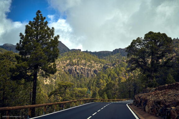 Tenerifė, Teidės ugnikalnis, Kelionė Fotografas: Dovydas Gaidamavičius © www.DovydasGaidamavicius.lt