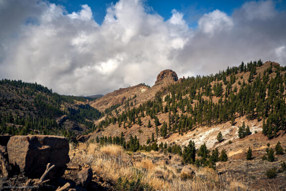 Tenerifė, Teidės ugnikalnis, Kelionė Fotografas: Dovydas Gaidamavičius © www.DovydasGaidamavicius.lt