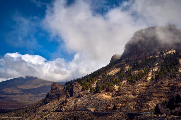 Tenerifė, Teidės ugnikalnis, Kelionė Fotografas: Dovydas Gaidamavičius © www.DovydasGaidamavicius.lt