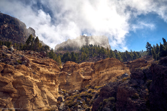 Tenerifė, Teidės ugnikalnis, Kelionė Fotografas: Dovydas Gaidamavičius © www.DovydasGaidamavicius.lt