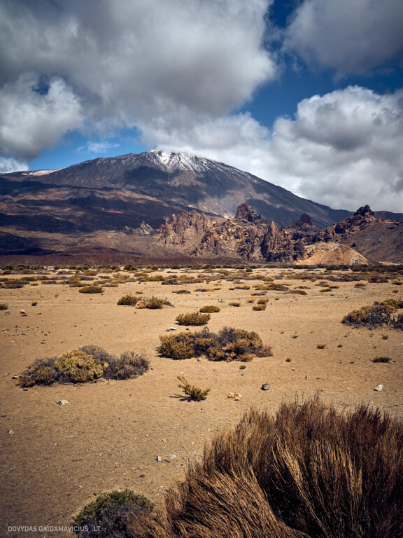 Tenerifė, Teidės ugnikalnis, Kelionė Fotografas: Dovydas Gaidamavičius © www.DovydasGaidamavicius.lt