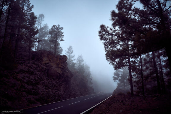 Tenerifė, Teidės ugnikalnis, Kelionė Fotografas: Dovydas Gaidamavičius © www.DovydasGaidamavicius.lt