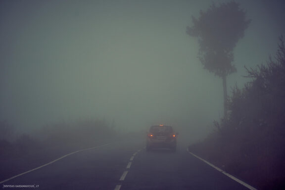Tenerifė, Teidės ugnikalnis, Kelionė Fotografas: Dovydas Gaidamavičius © www.DovydasGaidamavicius.lt