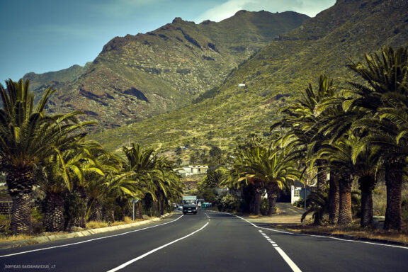 Tenerifė, Teidės ugnikalnis, Kelionė Fotografas: Dovydas Gaidamavičius © www.DovydasGaidamavicius.lt