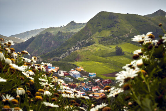 Tenerifė, Teidės ugnikalnis, Kelionė Fotografas: Dovydas Gaidamavičius © www.DovydasGaidamavicius.lt