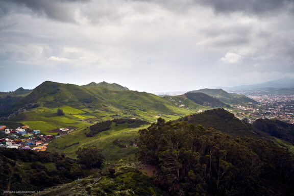 Tenerifė, Teidės ugnikalnis, Kelionė Fotografas: Dovydas Gaidamavičius © www.DovydasGaidamavicius.lt