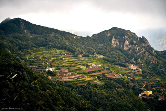 Tenerifė, Teidės ugnikalnis, Kelionė Fotografas: Dovydas Gaidamavičius © www.DovydasGaidamavicius.lt