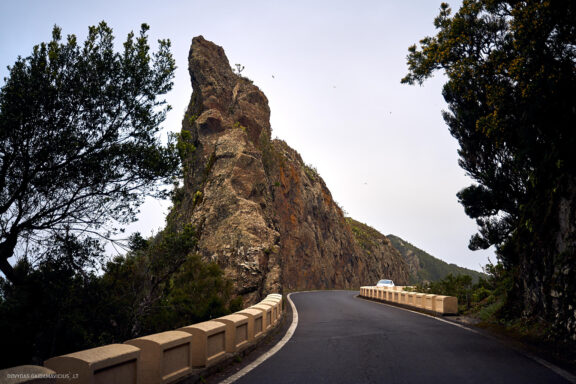 Tenerifė, Teidės ugnikalnis, Kelionė Fotografas: Dovydas Gaidamavičius © www.DovydasGaidamavicius.lt