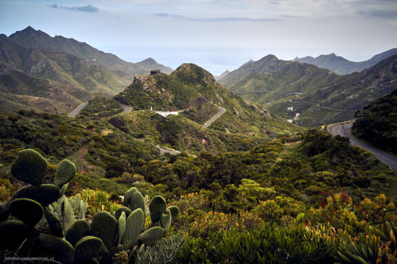 Tenerifė, Teidės ugnikalnis, Kelionė Fotografas: Dovydas Gaidamavičius © www.DovydasGaidamavicius.lt