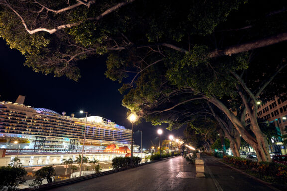 Tenerifė, Teidės ugnikalnis, Kelionė Fotografas: Dovydas Gaidamavičius © www.DovydasGaidamavicius.lt
