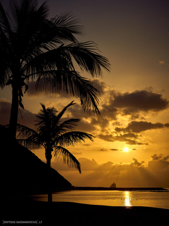Tenerifė, Teidės ugnikalnis, Kelionė Fotografas: Dovydas Gaidamavičius © www.DovydasGaidamavicius.lt