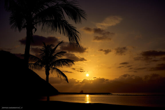 Tenerifė, Teidės ugnikalnis, Kelionė Fotografas: Dovydas Gaidamavičius © www.DovydasGaidamavicius.lt