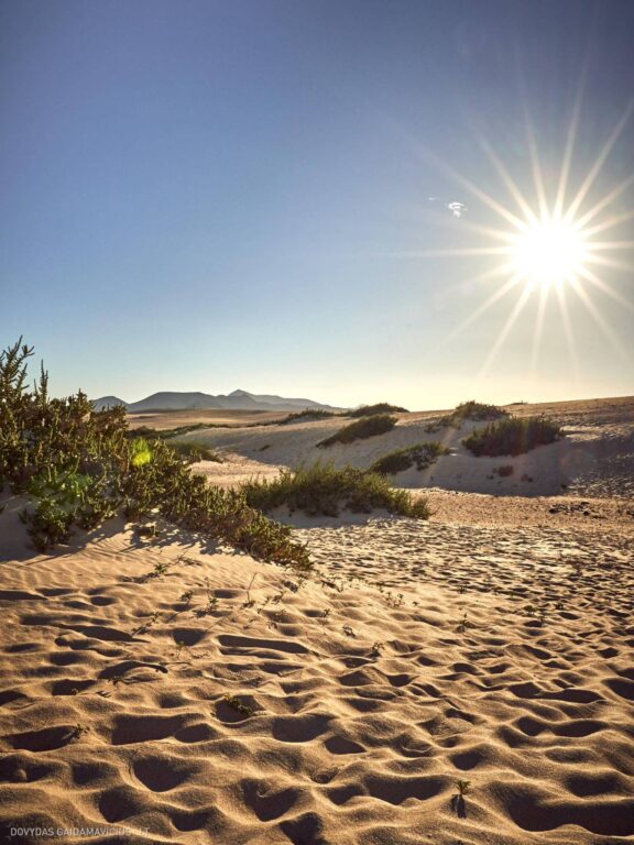 Fuerteventūra ir Lanzarotė Kelionės nuotraukos, Ispanija, Lanzarote, Fuerteventura, Spain island photos Fotografas: Dovydas Gaidamavičius © www.DovydasGaidamavicius.lt
