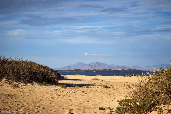 Fuerteventūra ir Lanzarotė Kelionės nuotraukos, Ispanija, Lanzarote, Fuerteventura, Spain island photos Fotografas: Dovydas Gaidamavičius © www.DovydasGaidamavicius.lt