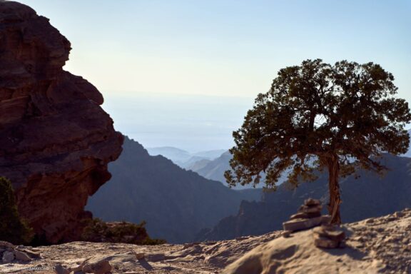 Jordanija (Jordan) Kelionės nuotraukos ir istorija. Aplankyta Petra, Wadi Rum dykuma, Raudonoji jūra, Negyvoji jūra, Aqaba Fotografas: Dovydas Gaidamavičius © www.DovydasGaidamavicius.lt