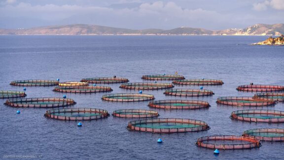 Corfu Korfu Sala (Kerkira) ir Paxos Graikijos Kelionės nuotraukos, Greece island photos Fotografas: Dovydas Gaidamavičius © www.DovydasGaidamavicius.lt