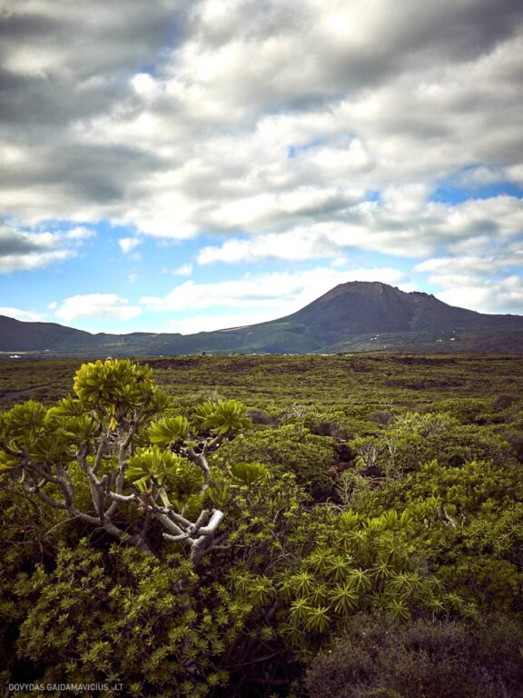 Fuerteventūra ir Lanzarotė Kelionės nuotraukos, Ispanija, Lanzarote, Fuerteventura, Spain island photos Fotografas: Dovydas Gaidamavičius © www.DovydasGaidamavicius.lt