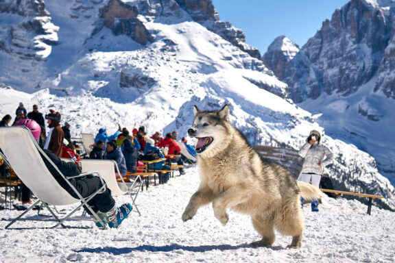 Italija Slidinėjimas WeGo Kelionės nuotraukos, Madonna di Campiglio Dolomites Ski Resort photos Fotografas: Dovydas Gaidamavičius © www.DovydasGaidamavicius.lt