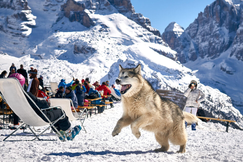 Italija Slidinėjimas WeGo Kelionės nuotraukos, Madonna di Campiglio Dolomites Ski Resort photos Fotografas: Dovydas Gaidamavičius © www.DovydasGaidamavicius.lt