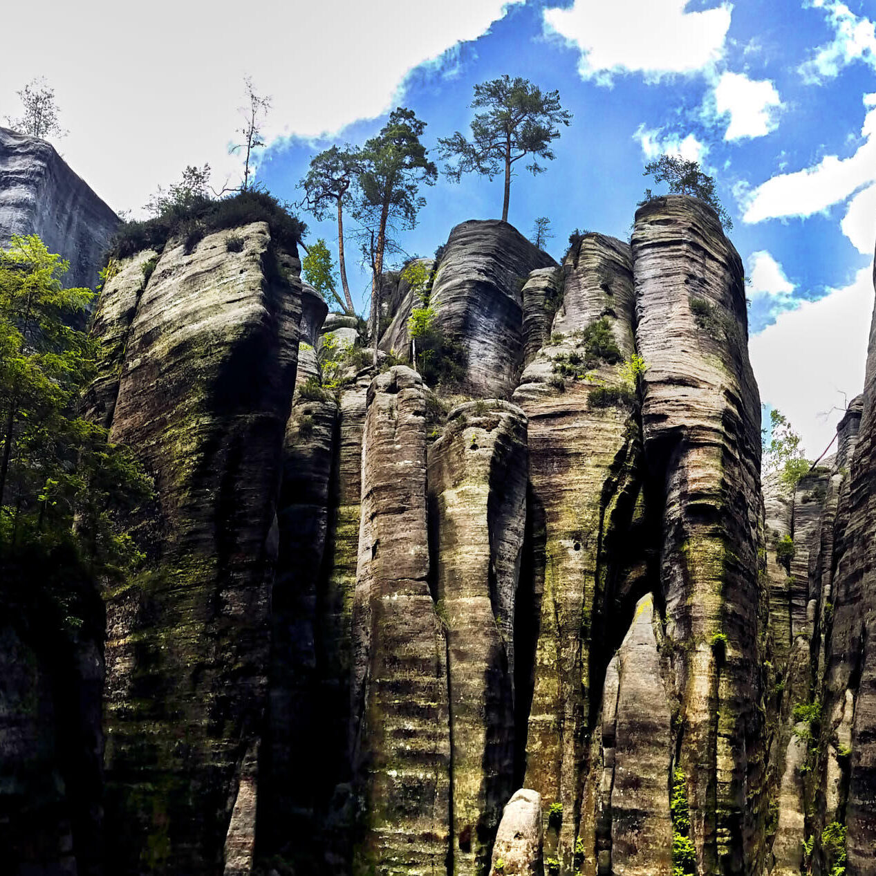 Adršpach-Teplice Rocks Čekija kelionės nuotraukos Eurotrip Czech Republic Vacation Photos Fotografas: Dovydas Gaidamavičius © www.DovydasGaidamavicius.lt