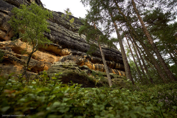 Euro Trip Kelionės nuotraukos Čekija, Czech Republic Adršpach-Teplice Rocks Fotografas: Dovydas Gaidamavičius © www.DovydasGaidamavicius.lt