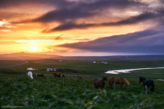 Islandija kelionės nuotraukos, Iceland vacation photos Fotografas: Dovydas Gaidamavičius © www.DovydasGaidamavicius.lt