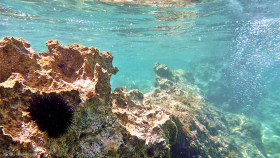 Kroatija Krk sala, Plitvicos ežerai kelionės nuotraukos, Croatia krk and Plitvice lakes Eurotrip Vacation Photos Fotografas: Dovydas Gaidamavičius © www.DovydasGaidamavicius.lt