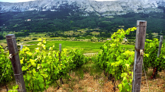 Kroatija Krk sala, Plitvicos ežerai kelionės nuotraukos, Croatia krk and Plitvice lakes Eurotrip Vacation Photos Fotografas: Dovydas Gaidamavičius © www.DovydasGaidamavicius.lt