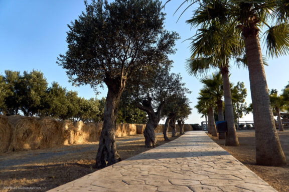 Kipras atostogų kelionės nuotraukos, Cyprus Vacation Photos Fotografas: Dovydas Gaidamavičius © www.DovydasGaidamavicius.lt
