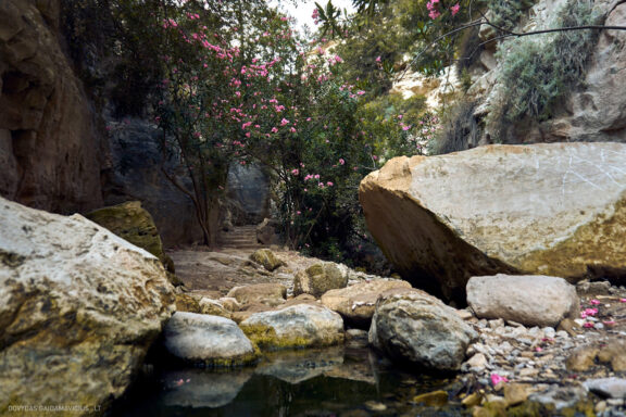 Kipras atostogų kelionės nuotraukos, Cyprus Vacation Photos Fotografas: Dovydas Gaidamavičius © www.DovydasGaidamavicius.lt