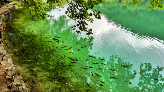 Kroatija Krk sala, Plitvicos ežerai kelionės nuotraukos, Croatia krk and Plitvice lakes Eurotrip Vacation Photos Fotografas: Dovydas Gaidamavičius © www.DovydasGaidamavicius.lt