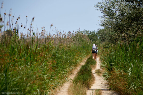 Maljorka Kelionės nuotraukos, Ispanija, Spain, Majorca Mallorca vacation photos Fotografas: Dovydas Gaidamavičius © www.DovydasGaidamavicius.lt