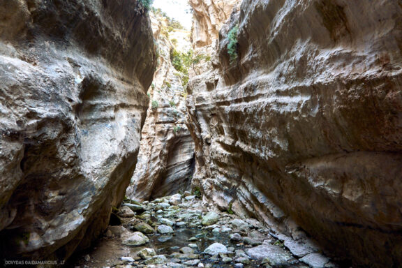 Kipras atostogų kelionės nuotraukos, Cyprus Vacation Photos Fotografas: Dovydas Gaidamavičius © www.DovydasGaidamavicius.lt