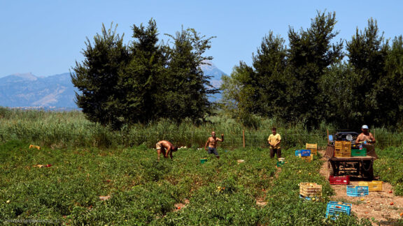 Maljorka Kelionės nuotraukos, Ispanija, Spain, Majorca Mallorca vacation photos Fotografas: Dovydas Gaidamavičius © www.DovydasGaidamavicius.lt