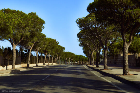 Maljorka Kelionės nuotraukos, Ispanija, Spain, Majorca Mallorca vacation photos Fotografas: Dovydas Gaidamavičius © www.DovydasGaidamavicius.lt