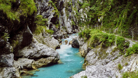 Slovėnija kelionės atostogų nuotraukos, Bled Slovenia Eurotrip Vacation Photos Fotografas: Dovydas Gaidamavičius © www.DovydasGaidamavicius.lt