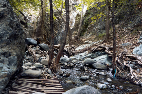 Kipras atostogų kelionės nuotraukos, Cyprus Vacation Photos Fotografas: Dovydas Gaidamavičius © www.DovydasGaidamavicius.lt