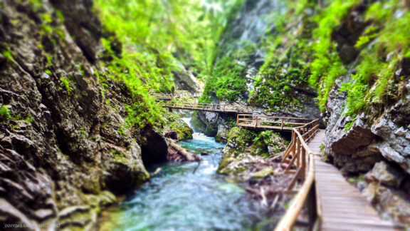 Slovėnija kelionės atostogų nuotraukos, Bled Slovenia Eurotrip Vacation Photos Fotografas: Dovydas Gaidamavičius © www.DovydasGaidamavicius.lt