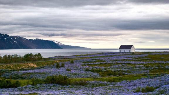 Islandija kelionės nuotraukos, Iceland vacation photos Fotografas: Dovydas Gaidamavičius © www.DovydasGaidamavicius.lt